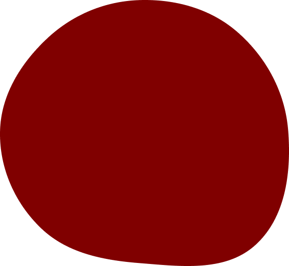 Napa Vector