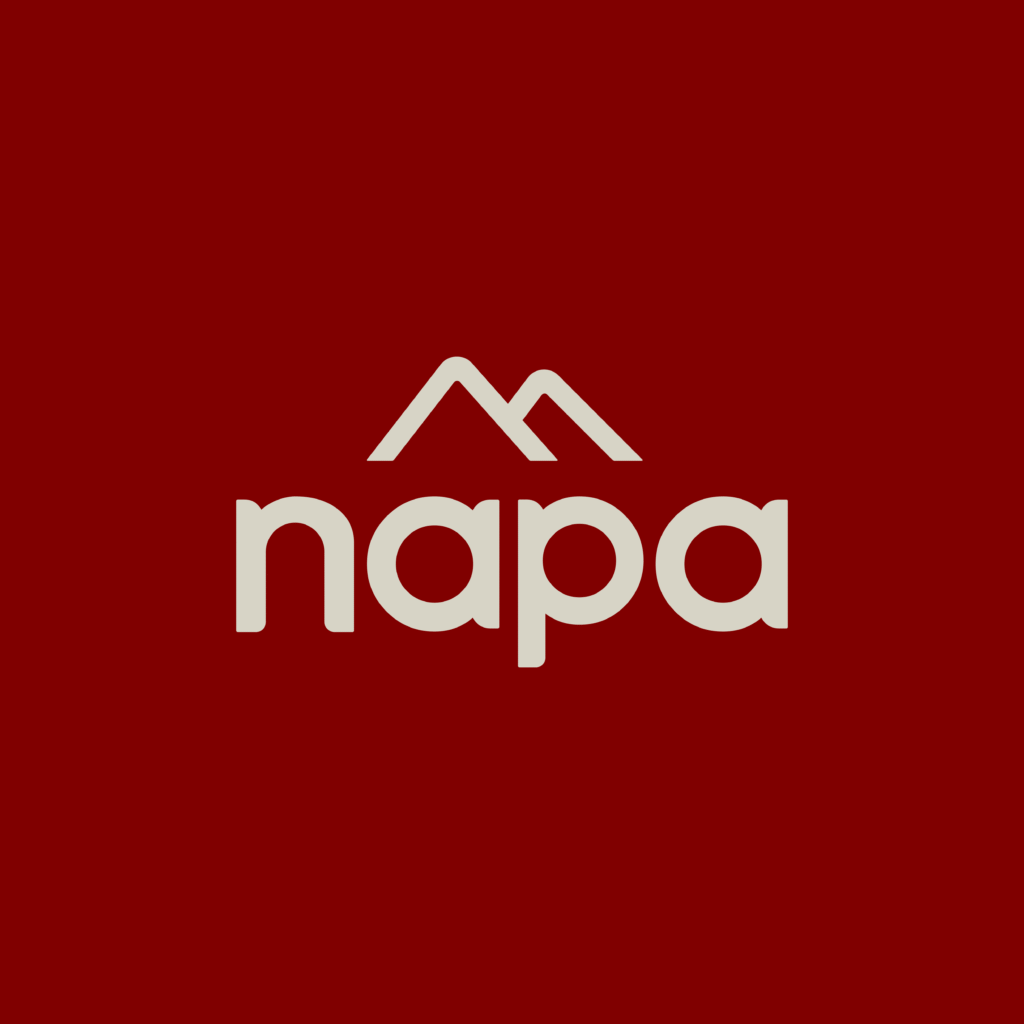 NAPA -OUTPUT FILE (LOGO)-05